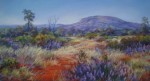 Betty McLean - Colours of Karajini