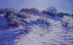 Betty McLean - Morning in the Dunes