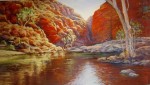 Betty McLean - Red Bank Gorge