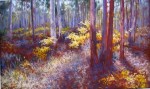 Betty McLean - Sun in the Forest Betty McLean - Sun in the Forest