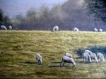 Rayma Reany - Grazing