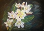Yvonne Ward - Frangipani