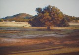 Linda O'Brien - A Toodyay Evening