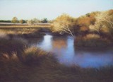 Linda O'Brien - Morning on the Wetlands