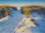 Linda O'Brien - The Softening of Light